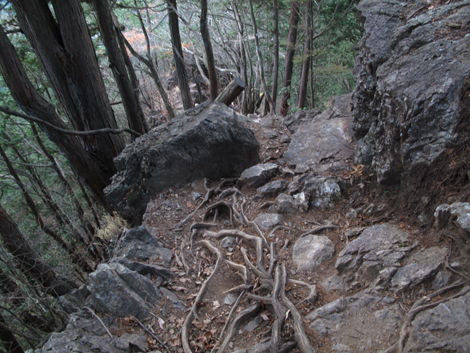 20171116hike (353)